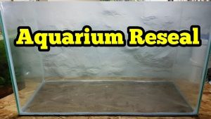 Best 20 Inch Aquarium Hood: Top Tested LED Fit Picks Guide