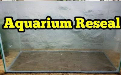 Best 20 Inch Aquarium Hood: Top Tested LED Fit Picks Guide