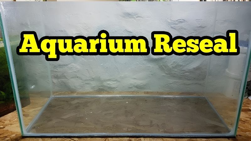 best 20 inch aquarium hood