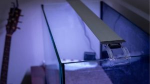 Best 24/7 Aquarium Light With Sunrise Sunset: Top Picks
