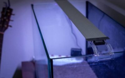 Best 24/7 Aquarium Light With Sunrise Sunset: Top Picks