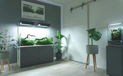 Best 29 Gallon Aquarium Stand: Compared Best Buying Guide