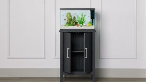 Best 3 Tier Fish Tank Stand: Tested Best Picks for 2026