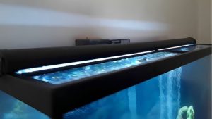 Best 30 Inch Aquarium Hood: Top Tested LED Options Guide