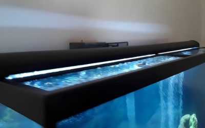 Best 30 Inch Aquarium Hood: Top Tested LED Options Guide