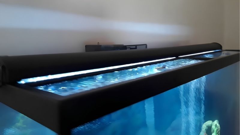 best 30 inch aquarium hood
