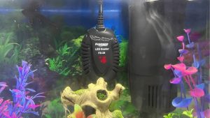 Best 300 Watt Aquarium Heater: Powerful, Reliable Picks