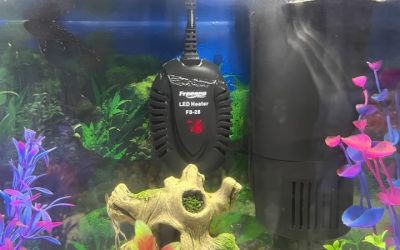 Best 300 Watt Aquarium Heater: Powerful, Reliable Picks