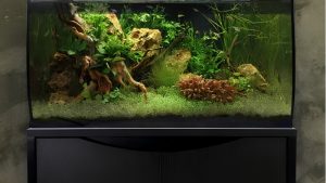 Best 32 Gallon Aquarium Kit: Best Proven Expert Tested Guide