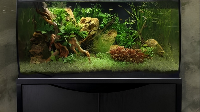 best 32 gallon aquarium kit