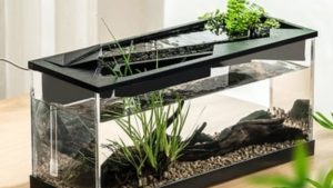 Best 5 Gallon Aquarium Kit With Filter And Light: Top Tested