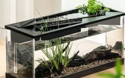 Best 5 Gallon Aquarium Kit With Filter And Light: Top Compared