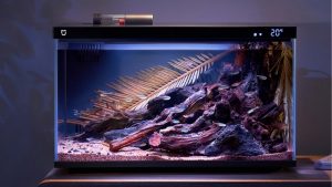 Best 7 Gallon Smart Fish Tank: Top Proven Tested Buyer Guide