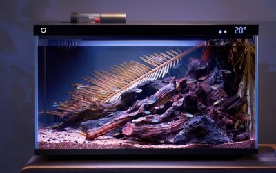Best 7 Gallon Smart Fish Tank: Top Proven Compared Buyer Guide