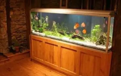 Best 75 Gallon Aquarium: Top Compared Glass Tank Picks Guide
