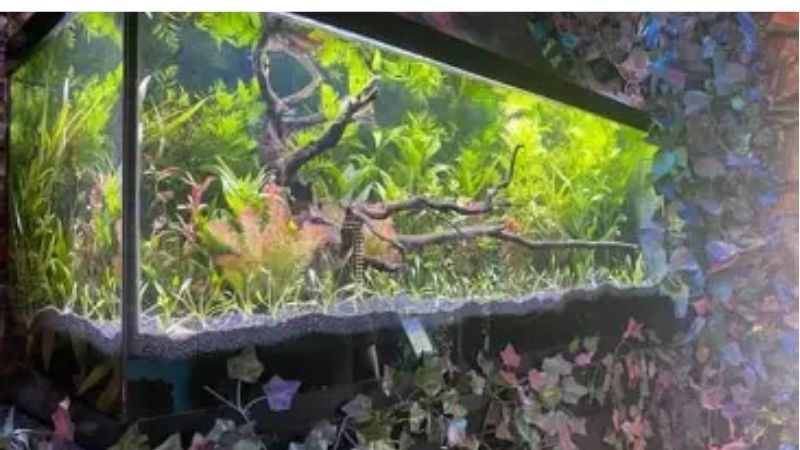 best 75 gallon aquarium kit for a turtle