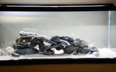 Best 75 Gallon Aquarium Kit for Cichlids: Top Compared Guide