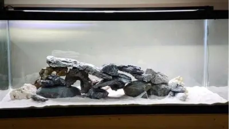 best 75 gallon aquarium kit for cichlids