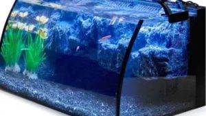 Best 75 Gallon Aquarium Kit for Saltwater: Top Compared Guide