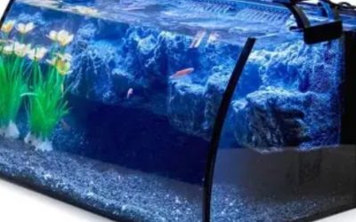 Best 75 Gallon Aquarium Kit for Saltwater: Top Compared Guide