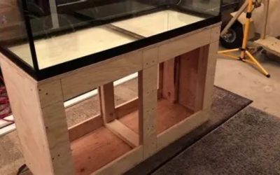 Best 75 Gallon Aquarium Kit With a Stand Included: Top Smart