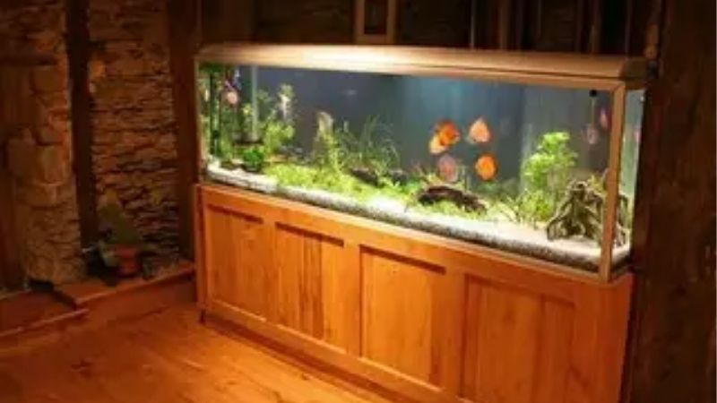 best 75 gallon aquarium