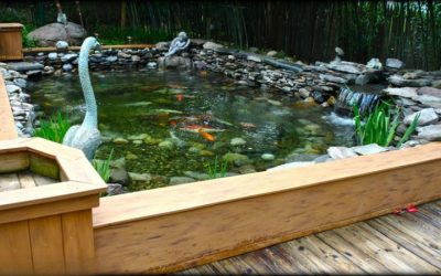 Best Above Ground Koi Pond With Viewing Window: Top Compared