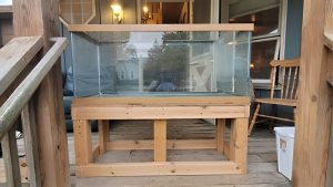 Best Adjustable Aquarium Stand 30 To 75 Gallon: Top Tested