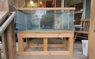 Best Adjustable Aquarium Stand 30 To 75 Gallon: Top Compared