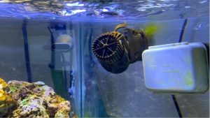 Best Adjustable Powerhead for Nano Reef: Top Top Picks