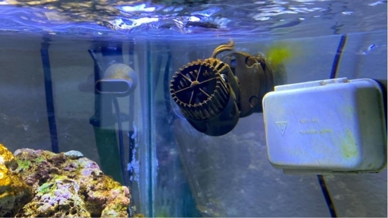 best adjustable powerhead for nano reef