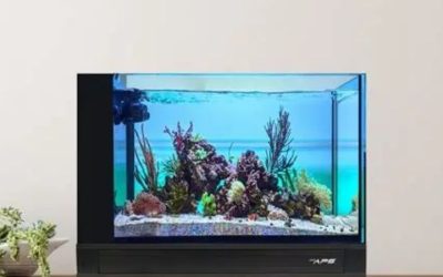 Best AIO Tank Upgrade Kit Media Basket: Top Tested Picks