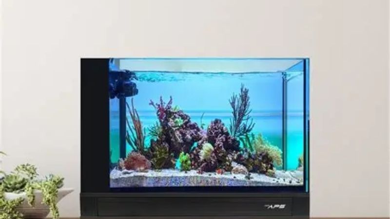 best aio tank upgrade kit media basket