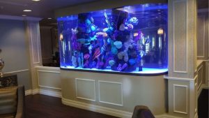 Best All In One 98 Gallon Aquarium For Living Room: Tested