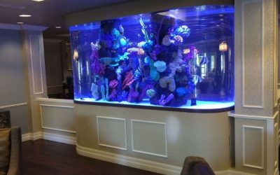 Best All In One 98 Gallon Aquarium For Living Room: Compared