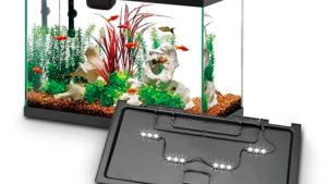 Best All In One Aquarium Kit With Built In Filter: Compared