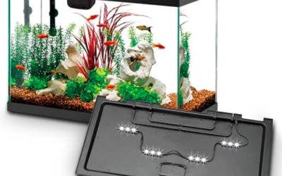 Best All In One Aquarium Kit With Built In Filter: Tested
