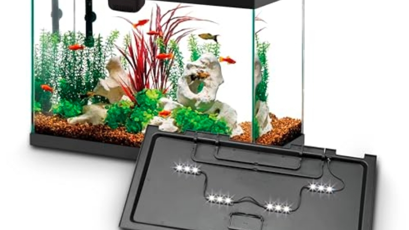 best all in one aquarium kit with built in filter