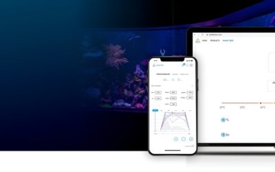 Best All in One Automation Bundle for Reef: Top Smart Picks