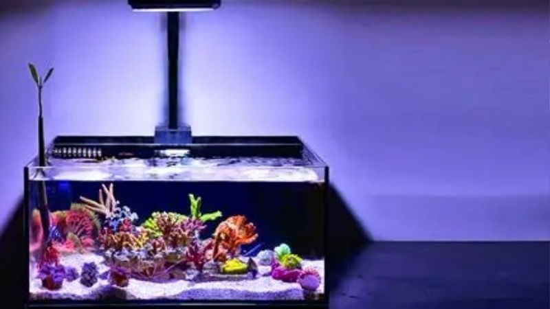 best all in one reef tank kit with skimmer