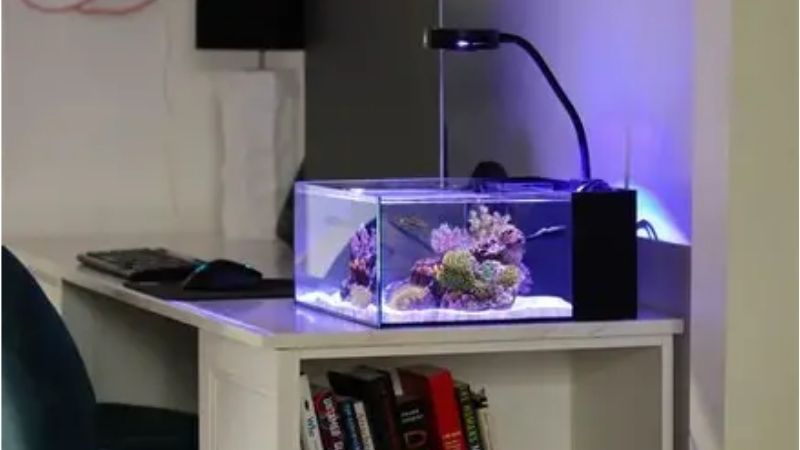 best all in one saltwater tank under 20 gallons