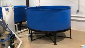 Best Aquaculture Water Tank With Steel Frame: Top Tested