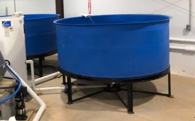 Best Aquaculture Water Tank With Steel Frame: Top Compared