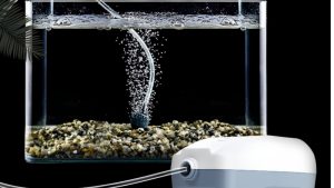 Best Aquarium Air Pump for 55 Gallon Tank: Buyer’s Guide