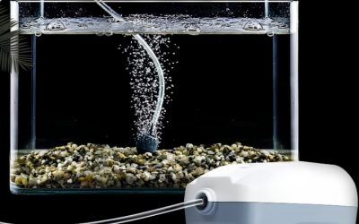 Best Aquarium Air Pump for 55 Gallon Tank: Buyer’s Guide