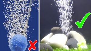 Best Aquarium Air Stone for Fine Bubbles: Buyer’s Guide