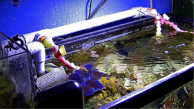 best aquarium auto top off system for nano tanks