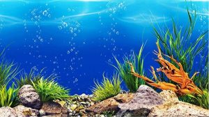 Best Aquarium Background 3D Rockery: Expert Trusted Picks