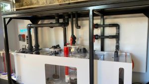 Best Aquarium Cabinet For Sump Setup: Essential Perfect