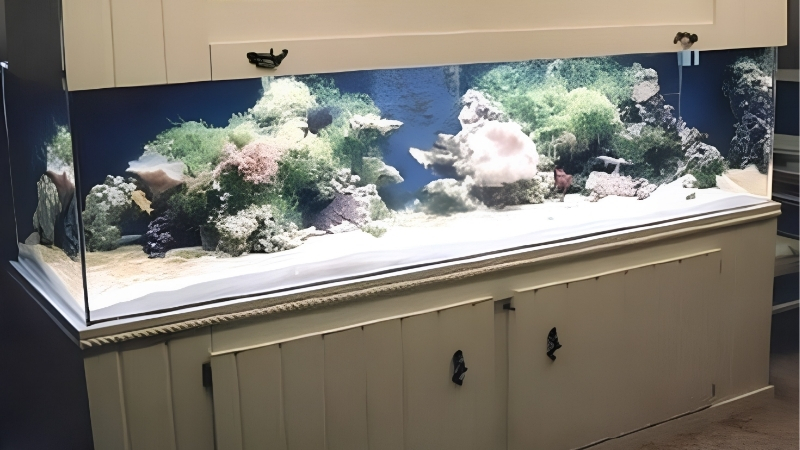 best aquarium canopy for large display tanks